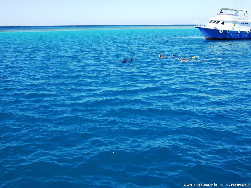 Delphin Tour 202